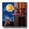 'Moonlight Serenade' by Lucia Heffernan, Canvas Wall Art