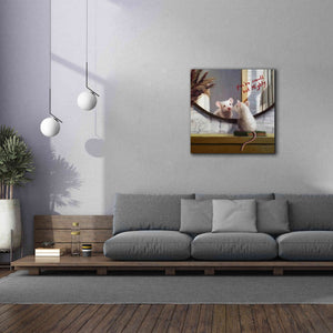 'Mighty Mouse' by Lucia Heffernan, Canvas Wall Art,37x37