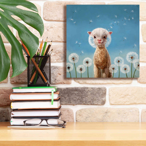 Image of 'Summer Wishes' by Lucia Heffernan, Canvas Wall Art,12x12