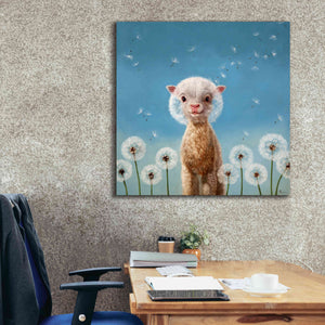 'Summer Wishes' by Lucia Heffernan, Canvas Wall Art,37x37