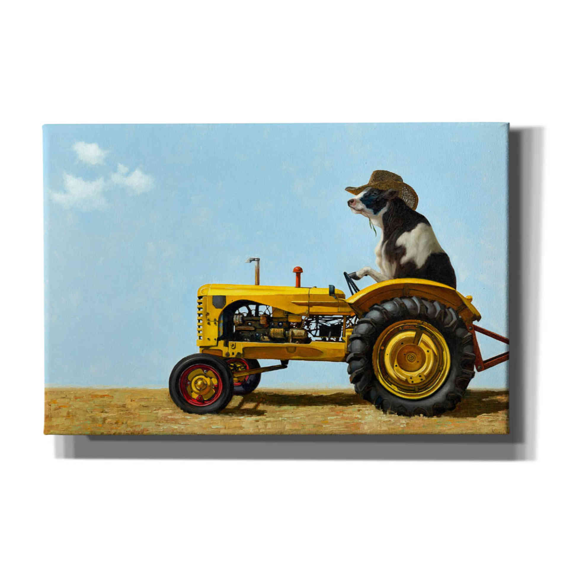 'Uncommon Cowboy' by Lucia Heffernan, Canvas Wall Art