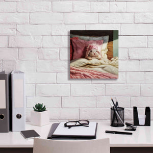'Bed Hare' by Lucia Heffernan, Canvas Wall Art,12x12