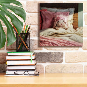 'Bed Hare' by Lucia Heffernan, Canvas Wall Art,12x12