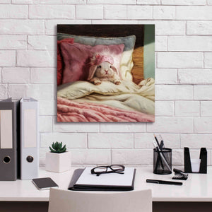 'Bed Hare' by Lucia Heffernan, Canvas Wall Art,18x18