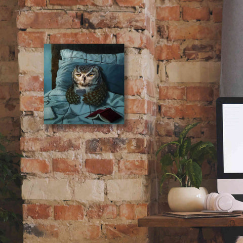 Image of 'Night Owl' by Lucia Heffernan, Canvas Wall Art,12x12