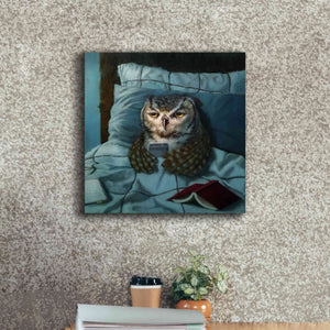 'Night Owl' by Lucia Heffernan, Canvas Wall Art,18x18