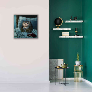 'Night Owl' by Lucia Heffernan, Canvas Wall Art,26x26