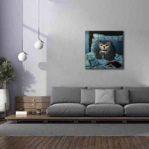 'Night Owl' by Lucia Heffernan, Canvas Wall Art,37x37
