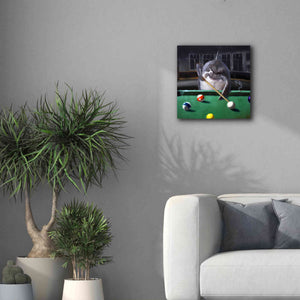 'Pool Shark' by Lucia Heffernan, Canvas Wall Art,18x18