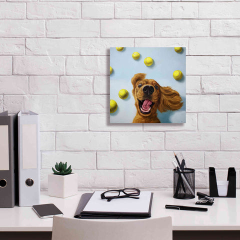 Image of 'Ball Boy' by Lucia Heffernan, Canvas Wall Art,12x12