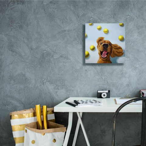 Image of 'Ball Boy' by Lucia Heffernan, Canvas Wall Art,12x12