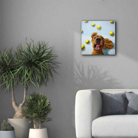 Image of 'Ball Boy' by Lucia Heffernan, Canvas Wall Art,18x18