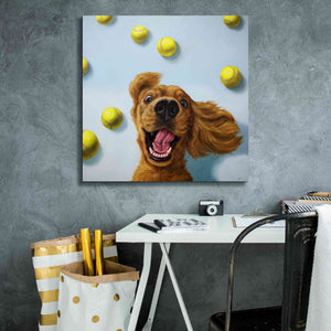 'Ball Boy' by Lucia Heffernan, Canvas Wall Art,26x26