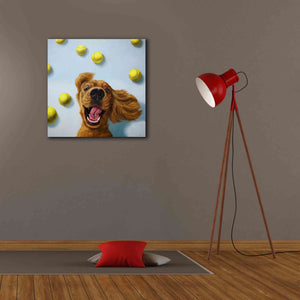 'Ball Boy' by Lucia Heffernan, Canvas Wall Art,26x26
