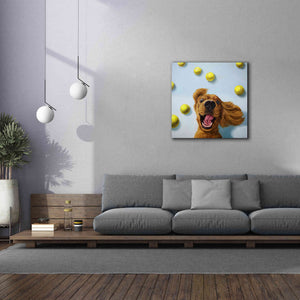 'Ball Boy' by Lucia Heffernan, Canvas Wall Art,37x37