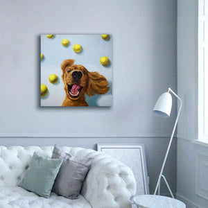 'Ball Boy' by Lucia Heffernan, Canvas Wall Art,37x37
