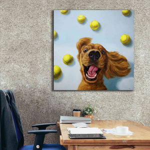 'Ball Boy' by Lucia Heffernan, Canvas Wall Art,37x37