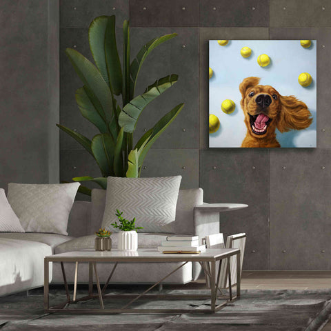 Image of 'Ball Boy' by Lucia Heffernan, Canvas Wall Art,37x37