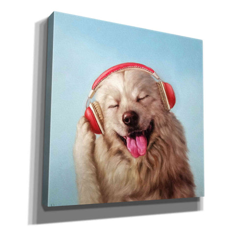 Image of 'Woof Jam' by Lucia Heffernan, Canvas Wall Art