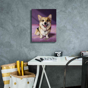 'Winnie' by Lucia Heffernan, Canvas Wall Art,12x16