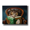 'Owl Porn' by Lucia Heffernan, Canvas Wall Art
