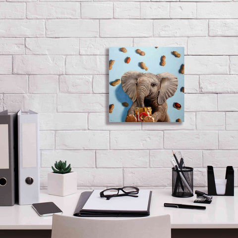 Image of 'Feeling Nutty' by Lucia Heffernan, Canvas Wall Art,12x12