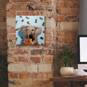 'Feeling Nutty' by Lucia Heffernan, Canvas Wall Art,12x12