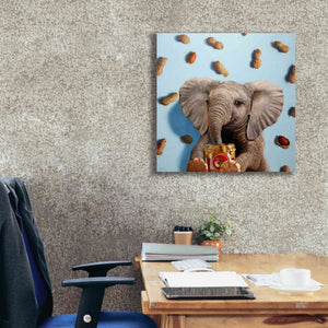'Feeling Nutty' by Lucia Heffernan, Canvas Wall Art,26x26