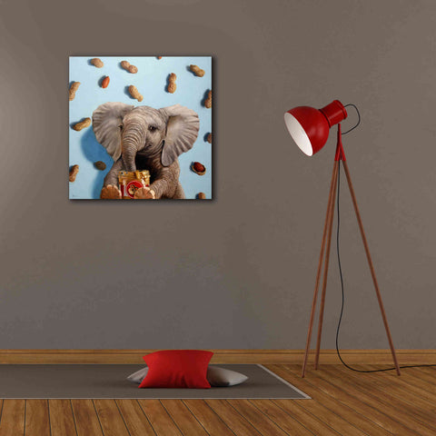 Image of 'Feeling Nutty' by Lucia Heffernan, Canvas Wall Art,26x26