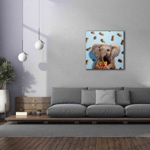 'Feeling Nutty' by Lucia Heffernan, Canvas Wall Art,37x37