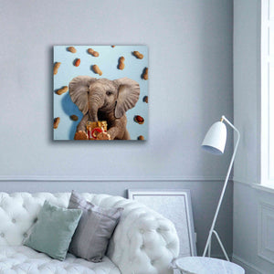 'Feeling Nutty' by Lucia Heffernan, Canvas Wall Art,37x37