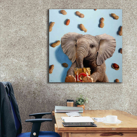 Image of 'Feeling Nutty' by Lucia Heffernan, Canvas Wall Art,37x37