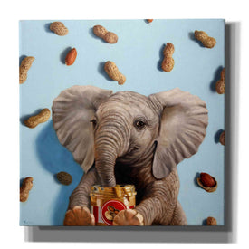 'Feeling Nutty' by Lucia Heffernan, Canvas Wall Art