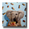 'Feeling Nutty' by Lucia Heffernan, Canvas Wall Art