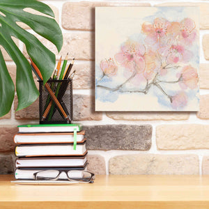 'Pink Blossoms III' by Chris Paschke, Canvas Wall Art,12 x 12