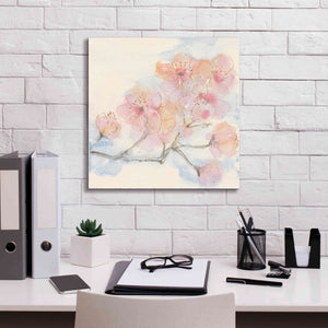 'Pink Blossoms III' by Chris Paschke, Canvas Wall Art,18 x 18