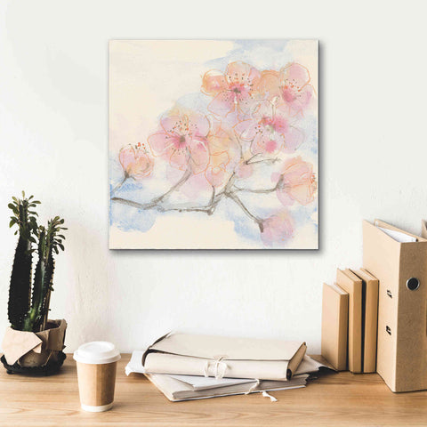 Image of 'Pink Blossoms III' by Chris Paschke, Canvas Wall Art,18 x 18