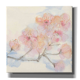 'Pink Blossoms III' by Chris Paschke, Canvas Wall Art