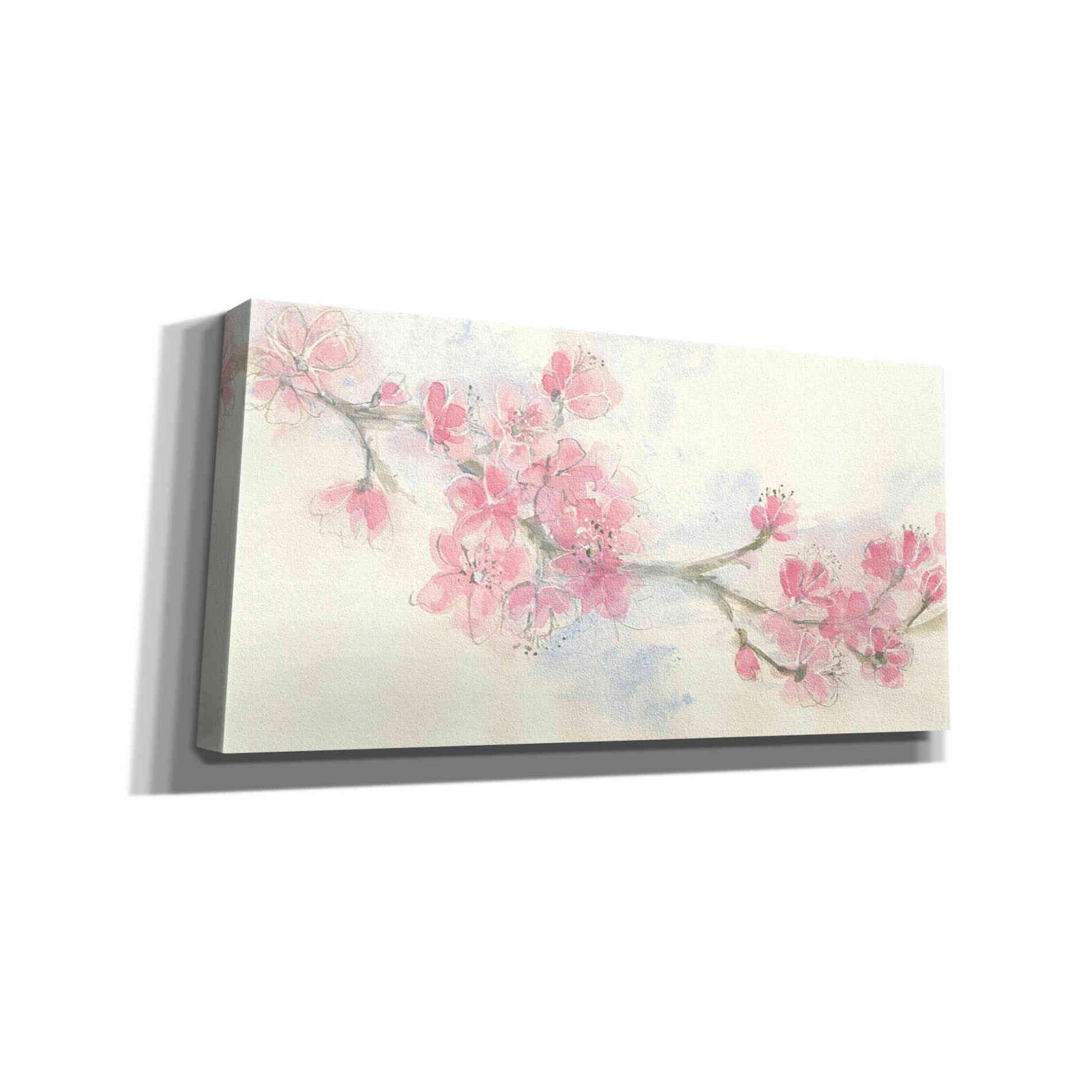 'Cherry Blossom II' by Chris Paschke, Canvas Wall Art