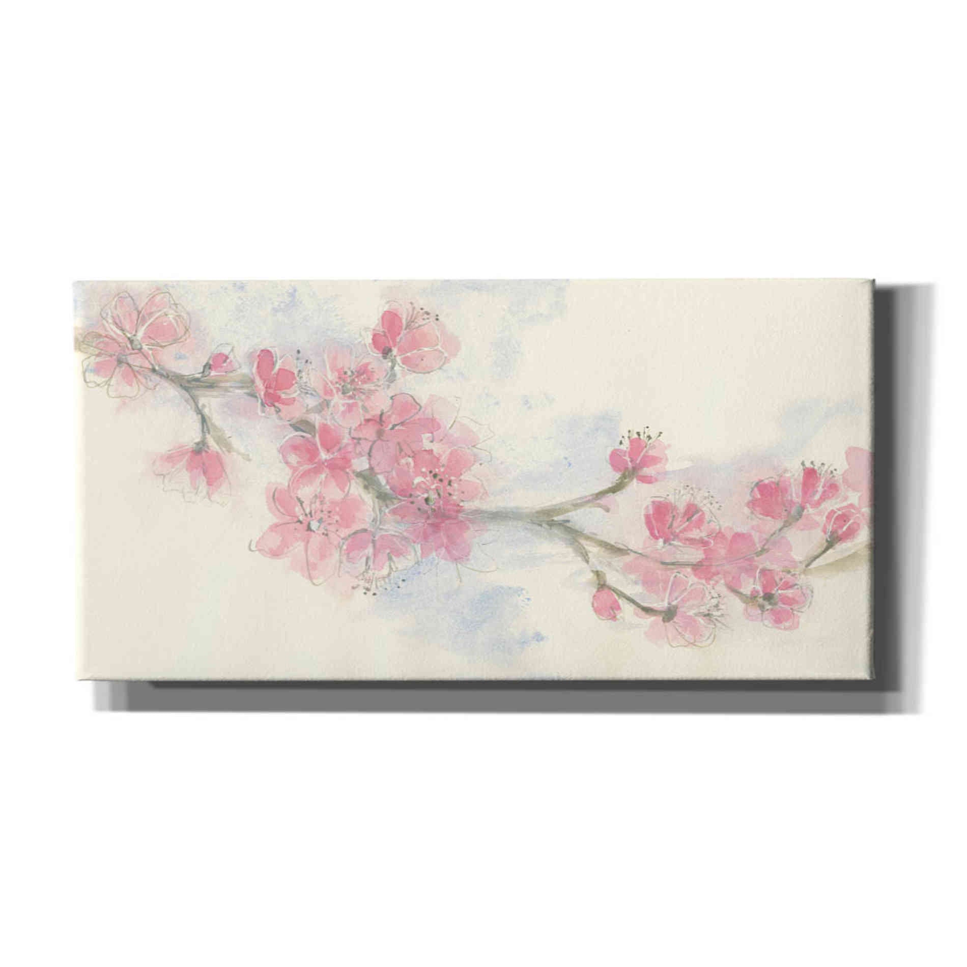 'Cherry Blossom II' by Chris Paschke, Canvas Wall Art