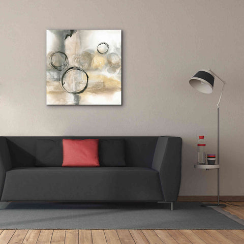 Image of 'Full Circle I' by Chris Paschke, Canvas Wall Art,37 x 37