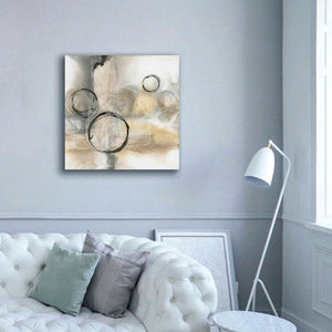 'Full Circle I' by Chris Paschke, Canvas Wall Art,37 x 37