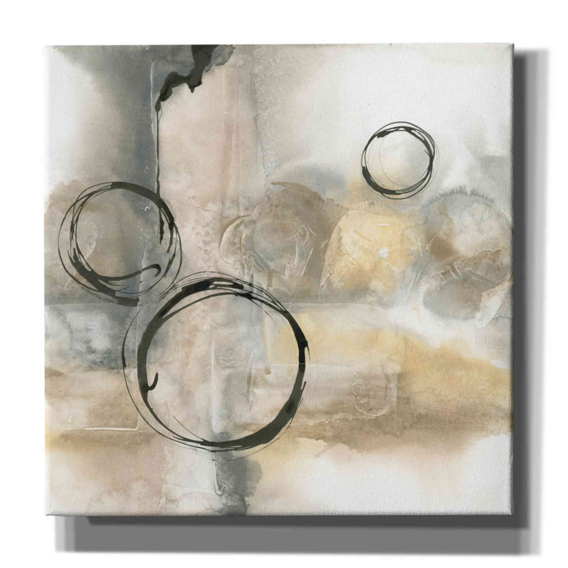 'Full Circle I' by Chris Paschke, Canvas Wall Art