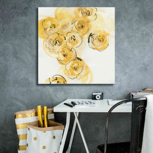 'Yellow Roses Anew I' by Chris Paschke, Canvas Wall Art,26 x 26