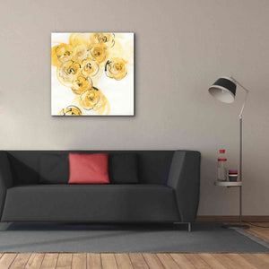 'Yellow Roses Anew I' by Chris Paschke, Canvas Wall Art,37 x 37