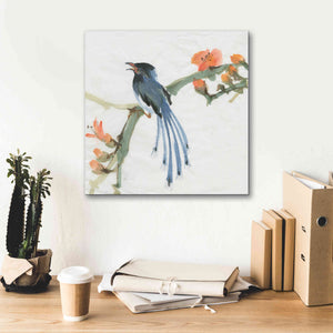 'Formosan Blue Magpie' by Chris Paschke, Canvas Wall Art,18 x 18