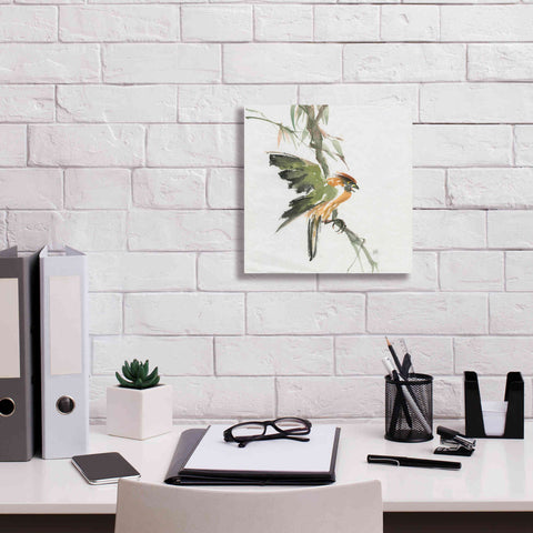 Image of 'Formosan Firecrest' by Chris Paschke, Canvas Wall Art,12 x 12