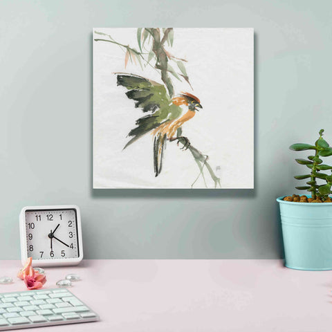 Image of 'Formosan Firecrest' by Chris Paschke, Canvas Wall Art,12 x 12