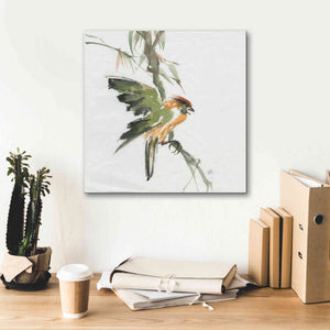 'Formosan Firecrest' by Chris Paschke, Canvas Wall Art,18 x 18