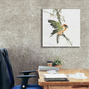 'Formosan Firecrest' by Chris Paschke, Canvas Wall Art,26 x 26